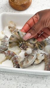 holding tiger shrimp