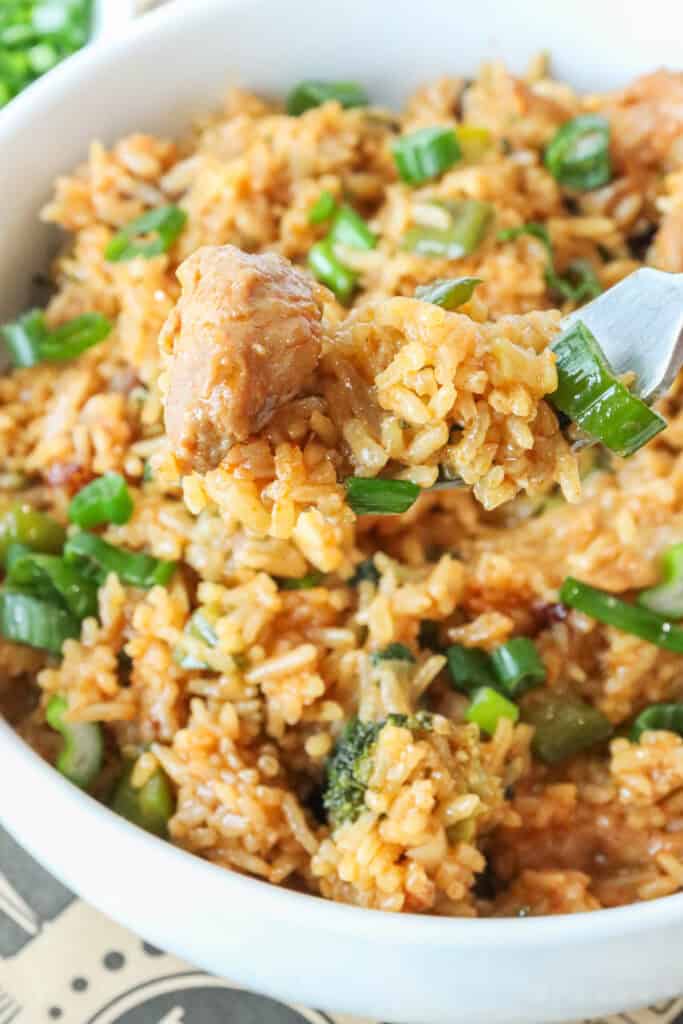 Bowl of homemade gochujang fried rice with chicken, broccoli, and green onions garnished with fresh scallions.